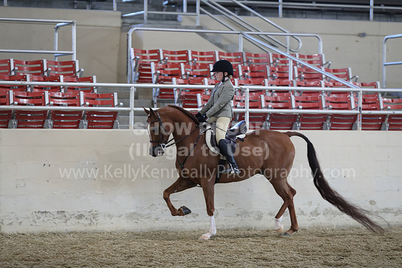 RCAHA19_SatAM_2573