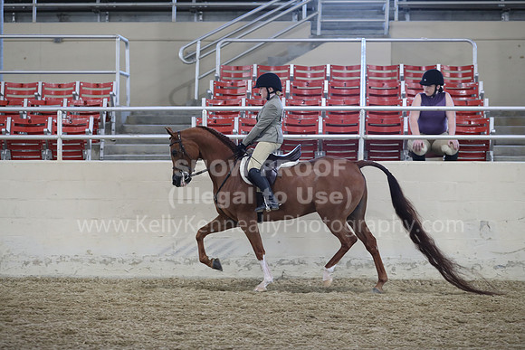 RCAHA19_SatAM_2574