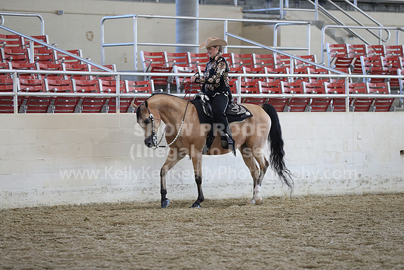 RCAHA19_SatAM_2611