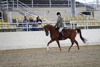RCAHA19_SatAM_2576