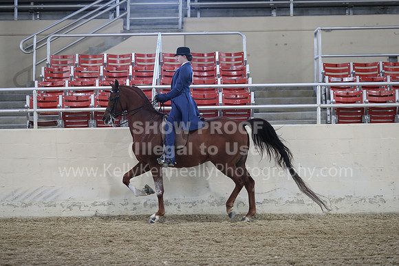 RCAHA19_SatAM_2517