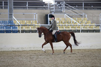 RCAHA19_SatAM_2578