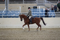 RCAHA19_SatAM_2580