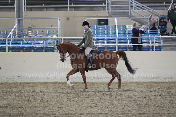 RCAHA19_SatAM_2580