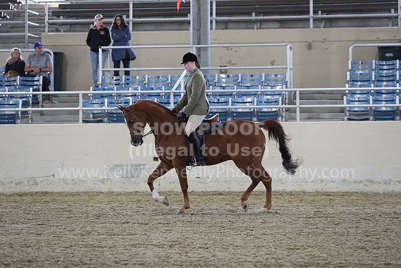 RCAHA19_SatAM_2581