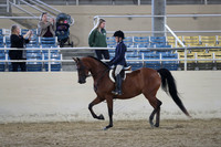 RCAHA19_SatAM_2584