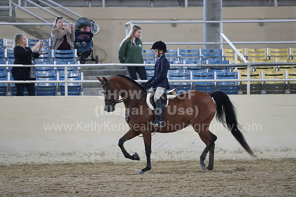 RCAHA19_SatAM_2584