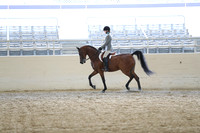 RCAHA19_SatAM_2590