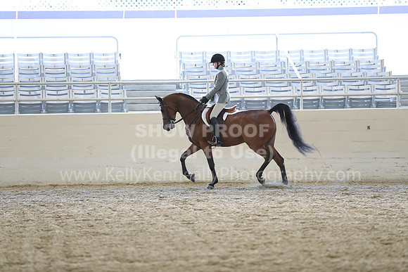 RCAHA19_SatAM_2590