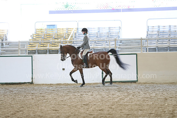 RCAHA19_SatAM_2592