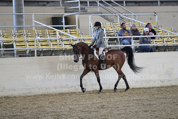 RCAHA19_SatAM_2594