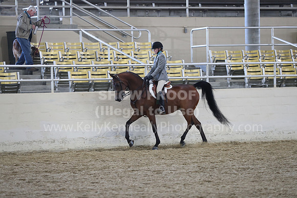 RCAHA19_SatAM_2595