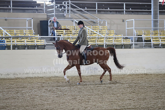RCAHA19_SatAM_2599