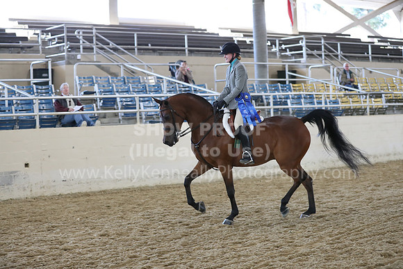 RCAHA19_SatAM_2605