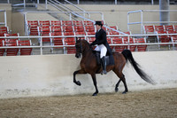 Class 123 Arabian Show Hack Open
