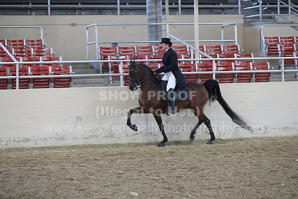 RCAHA19_SatAM_2628