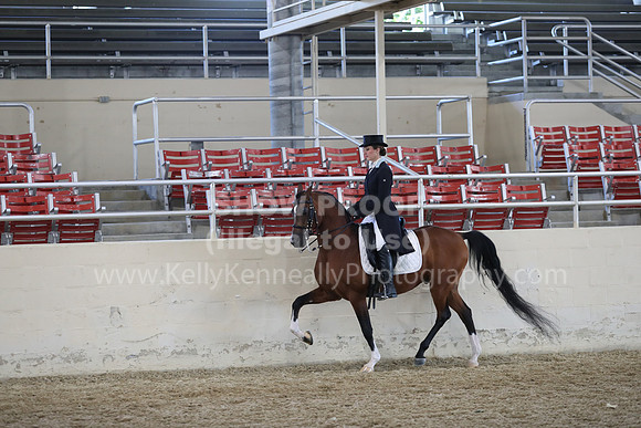 RCAHA19_SatAM_2632