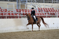 RCAHA19_SatAM_2639