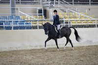 RCAHA19_SatAM_2724