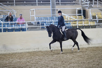 RCAHA19_SatAM_2725