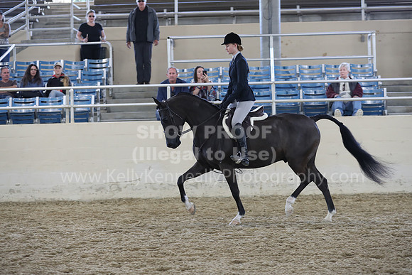RCAHA19_SatAM_2726
