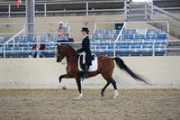 RCAHA19_SatAM_2645