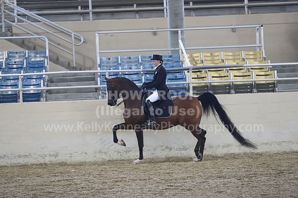 RCAHA19_SatAM_2648