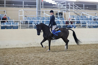 RCAHA19_SatAM_2730