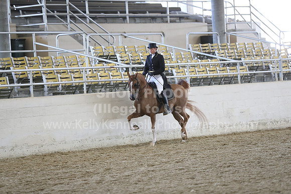 RCAHA19_SatAM_2672