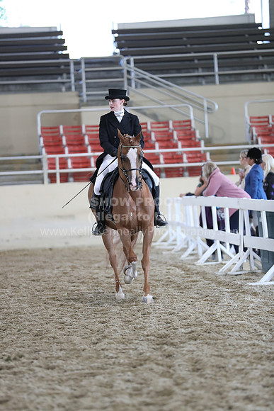 RCAHA19_SatAM_2677