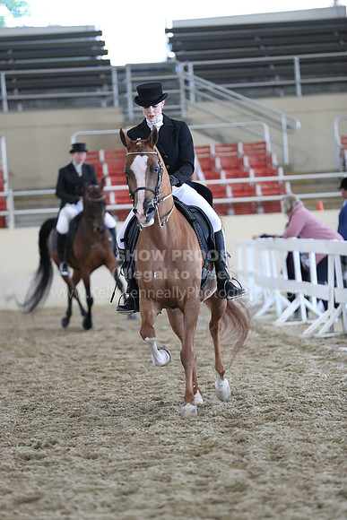 RCAHA19_SatAM_2679