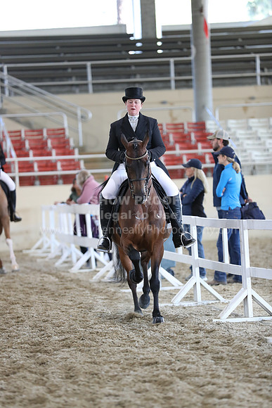 RCAHA19_SatAM_2681