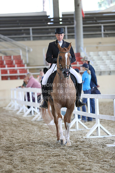 RCAHA19_SatAM_2683