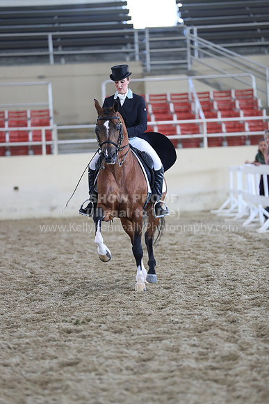RCAHA19_SatAM_2686
