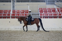 RCAHA19_SatAM_2863