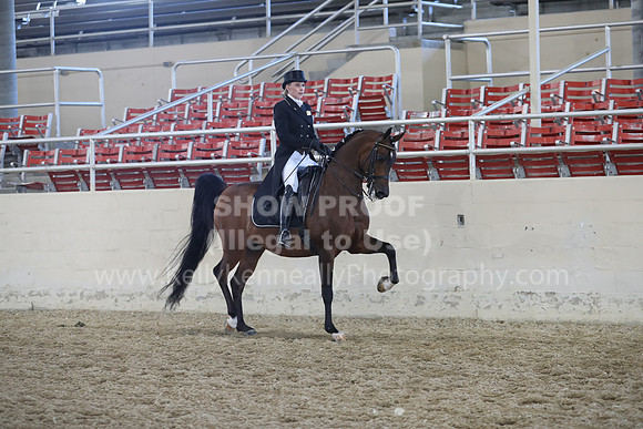 RCAHA19_SatAM_2701