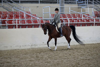 Class 128 Arabian Hunter Pleasure AAOTR-50 & Over