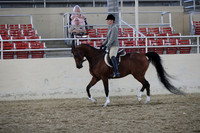 RCAHA19_SatAM_2901