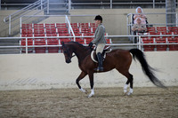 RCAHA19_SatAM_2902
