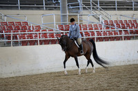 RCAHA19_SatAM_2903