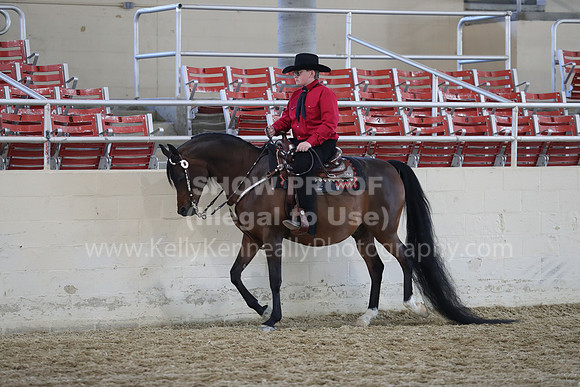 RCAHA19_SatAM_2841