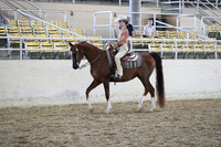 RCAHA19_SatAM_2842