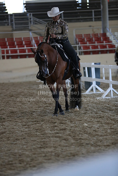 RCAHA19_SatAM_2874