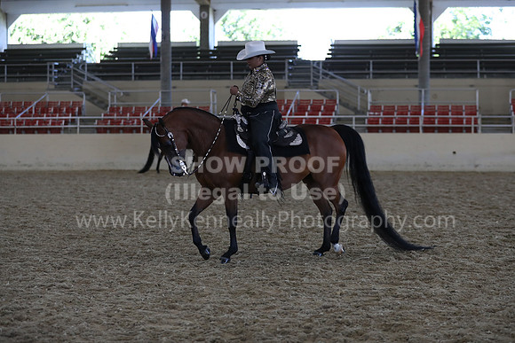 RCAHA19_SatAM_2875