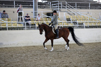 RCAHA19_SatAM_2908