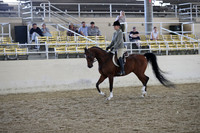 RCAHA19_SatAM_2909