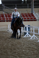 RCAHA19_SatAM_2878