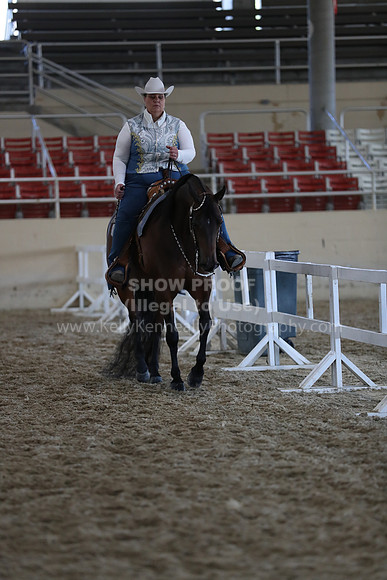 RCAHA19_SatAM_2878