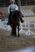 RCAHA19_SatAM_2879
