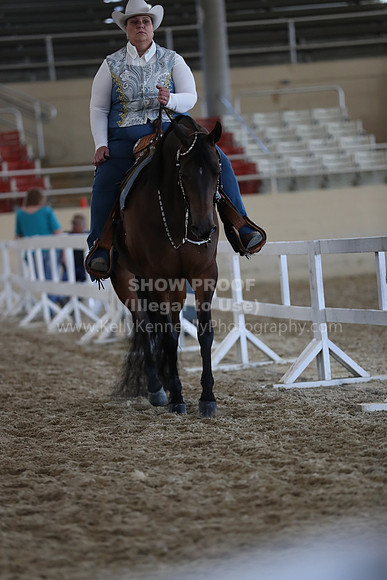 RCAHA19_SatAM_2879